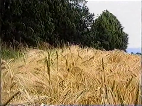 Anita Feller et une autre femme esclave en plein air
