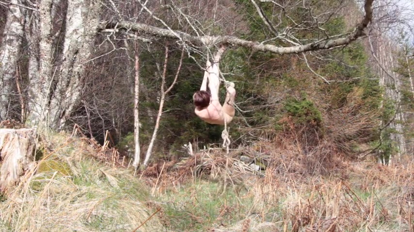 L'autocollage nu dans les bois a mal tourné.
